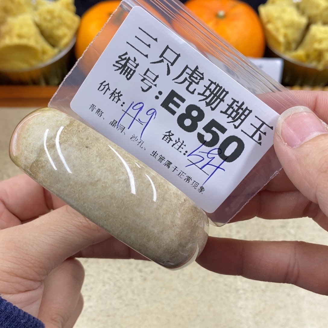 硅化珊瑚（珊瑚玉）1未镶嵌小*阳
