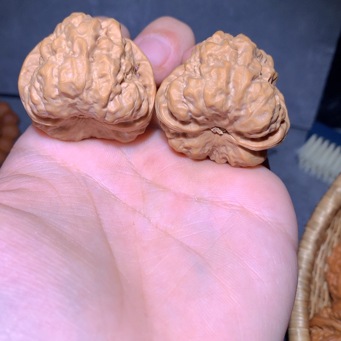 文玩核桃把件40尺寸144号