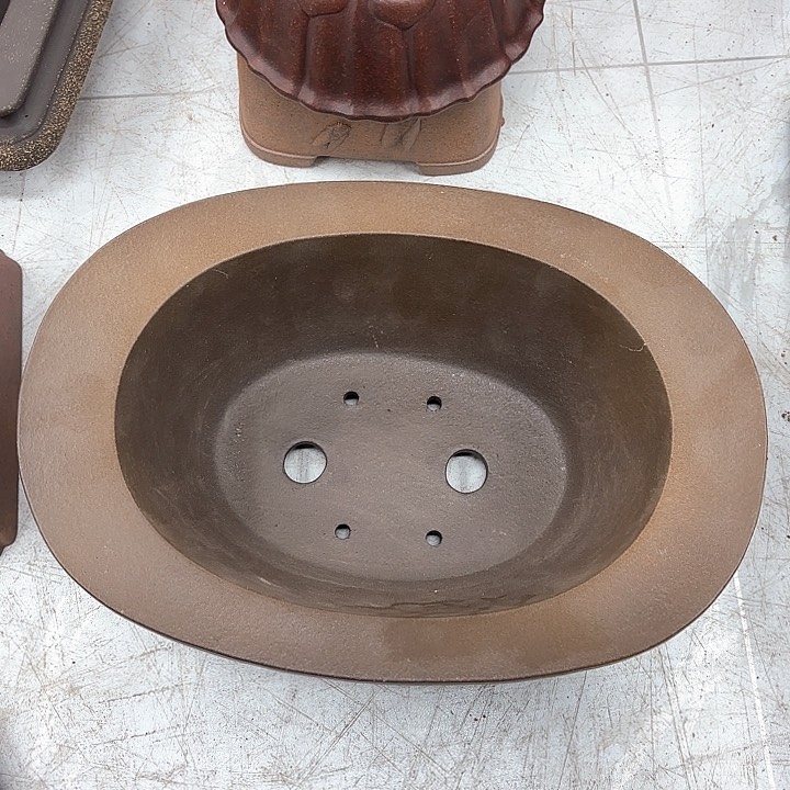 紫砂花盆紫砂的花开了