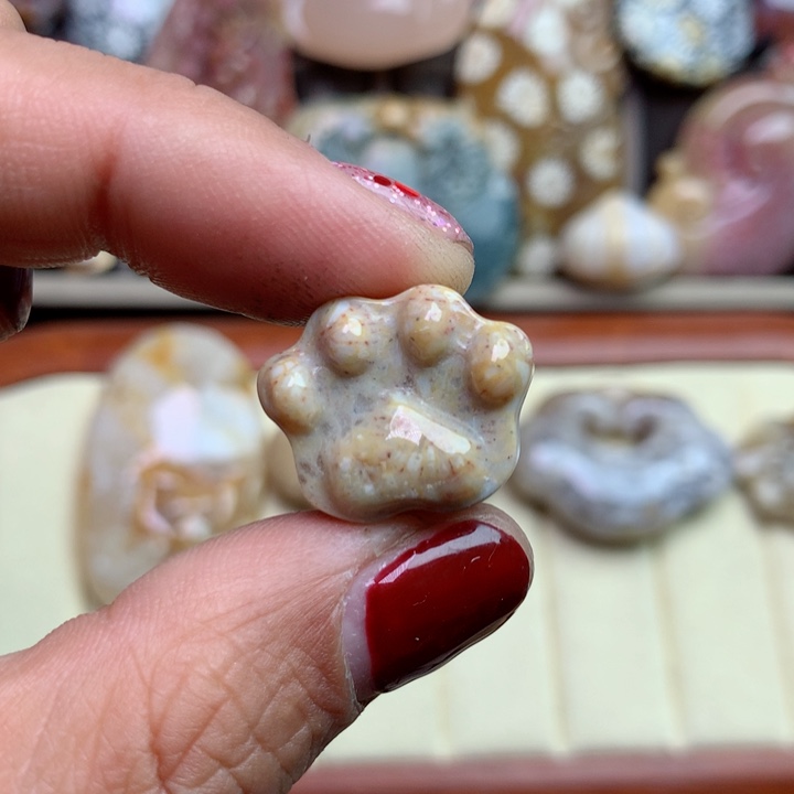 硅化珊瑚（珊瑚玉）颈饰未镶嵌