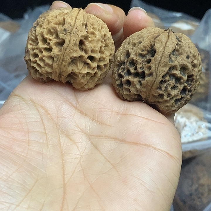 木质类云南铁核桃基地22