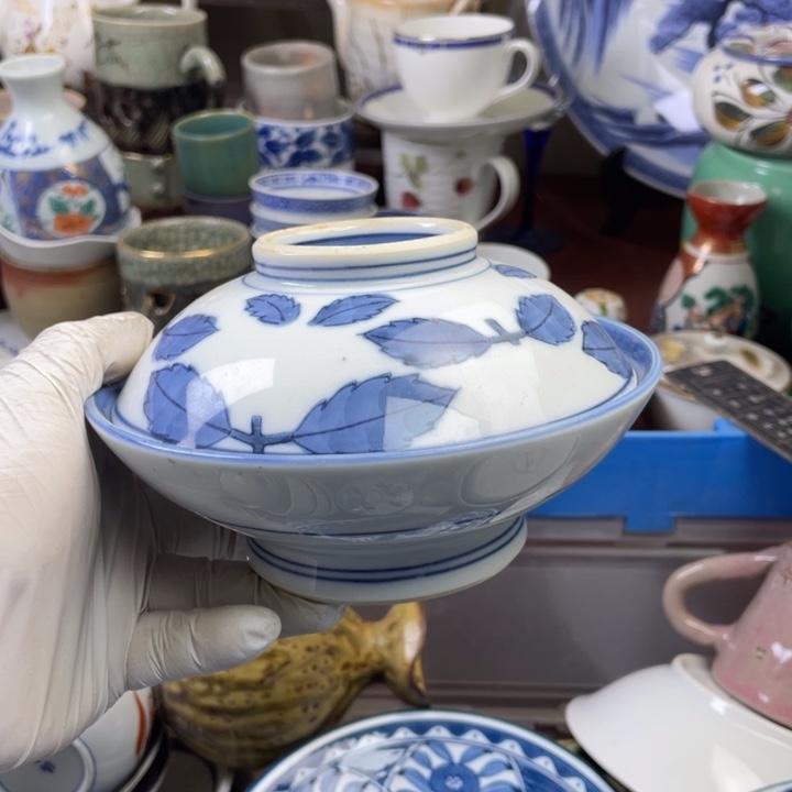 瓷片开播了开播了开播了