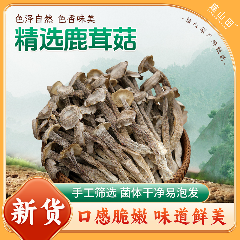 马小养【高山鹿茸菇】农家鹿茸菇鲜香脆嫩煲汤炒菜营养无硫干货美味