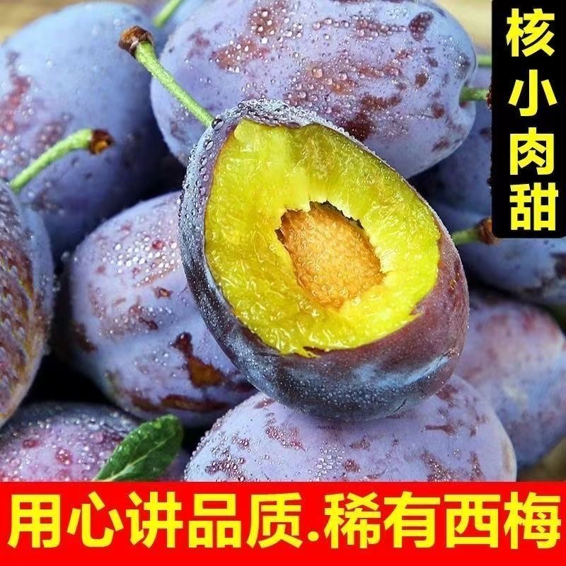 【2025新果】现摘正宗法兰西蓝西梅酸甜新鲜应季孕妇青红脆李