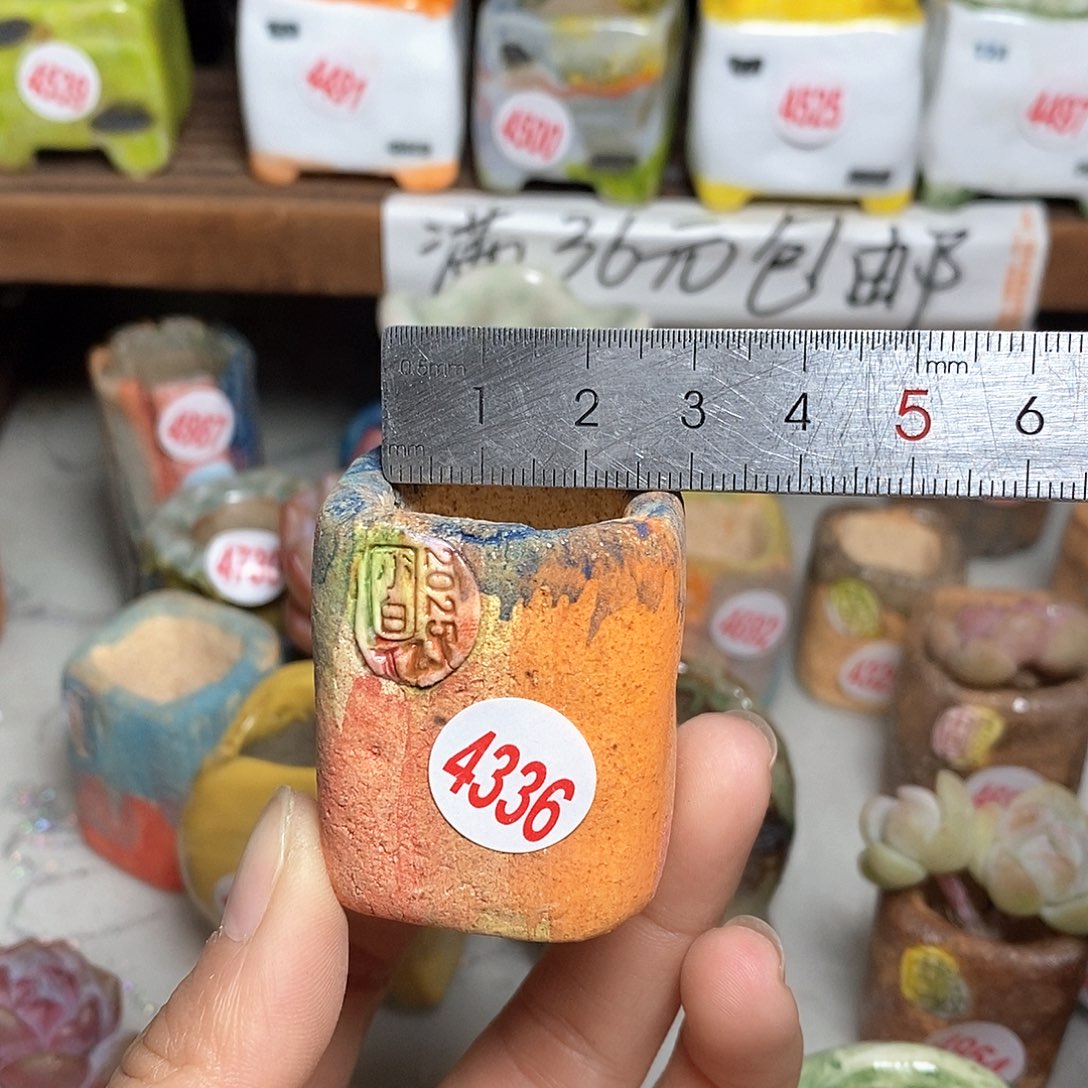 红陶勾***红拍5送一个小