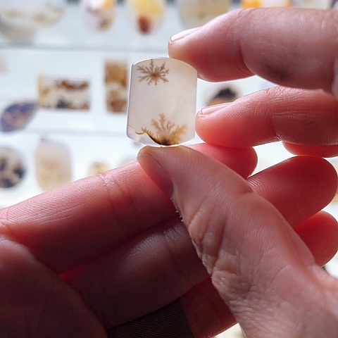 【闪购商品】玛瑙/玉髓珠宝半成品未镶嵌