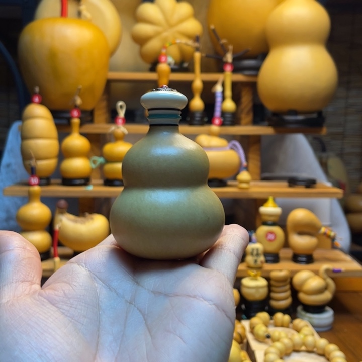 莉***莉天然葫芦自然生长