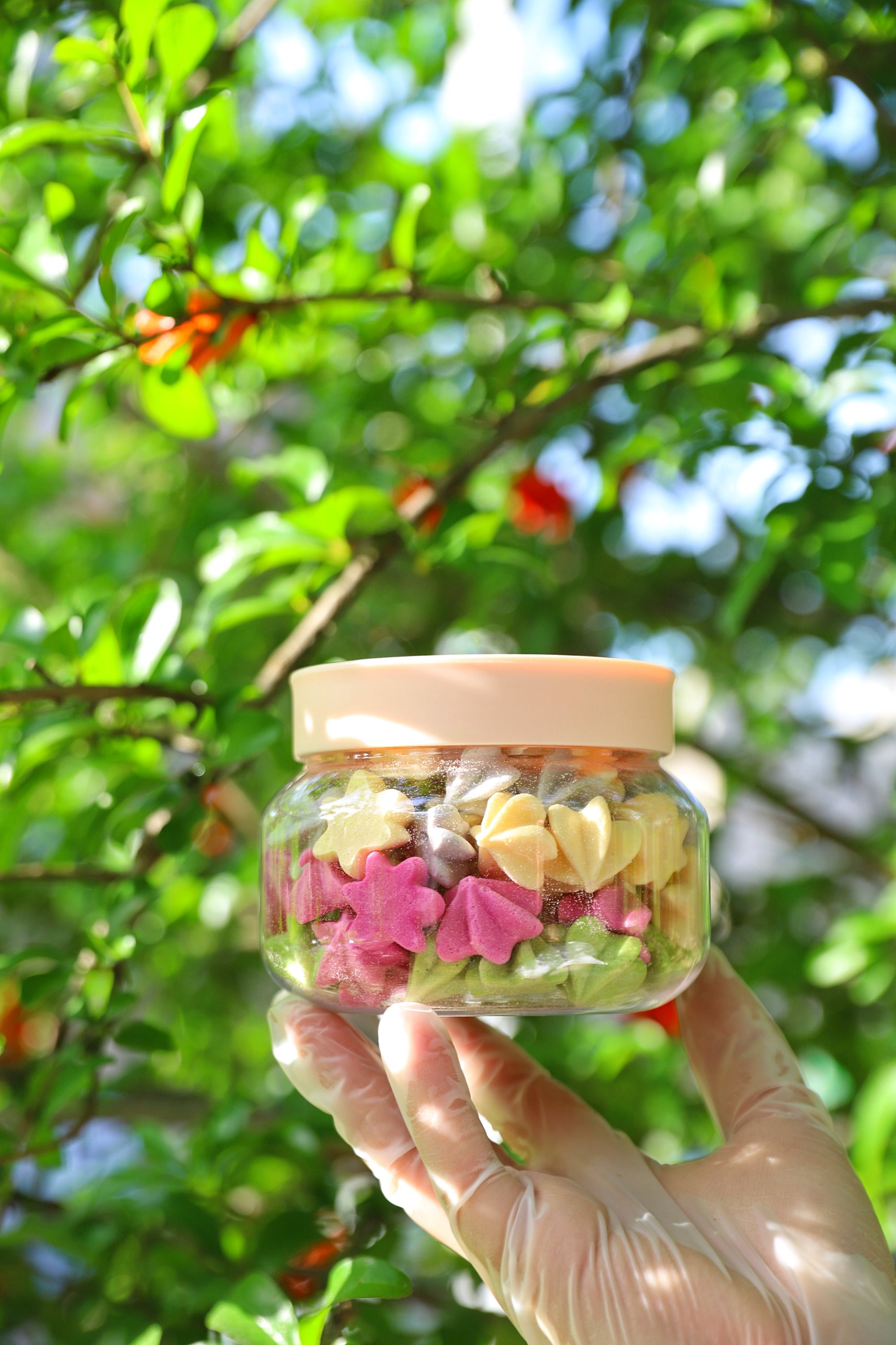 溶溶蛋白星星溶豆