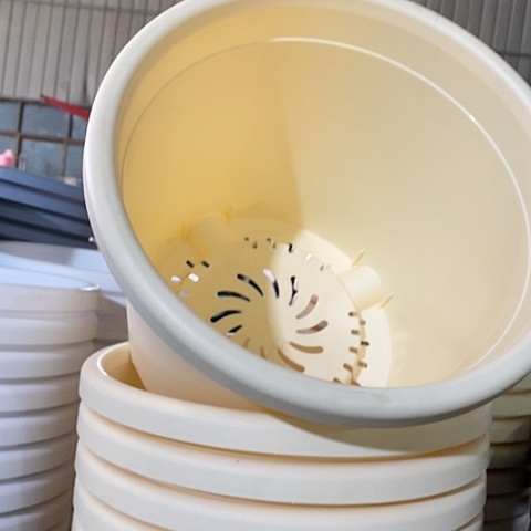 树脂四季5号米黄无托6个