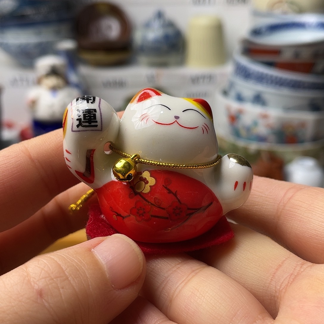 瓷片猫*咚哈哈哈我要看的时候我要去吃