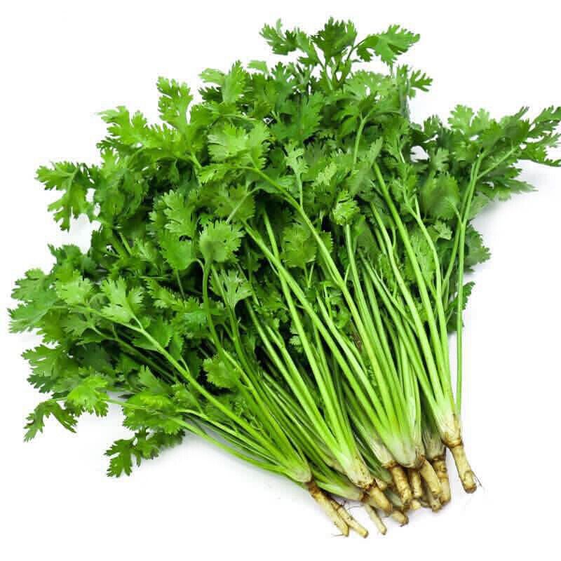 【当日新鲜】香菜 约100g