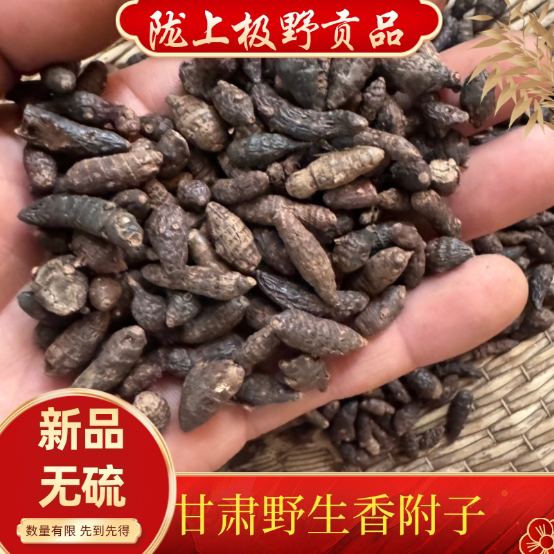 甘肃野山货香附子，机器滚过干净无杂质250克包邮