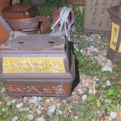 红陶紫砂花盆花盆盆盆栽瑕疵