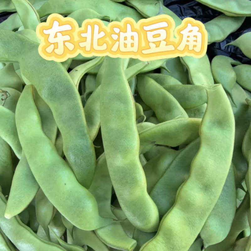 东北黑龙江纯陆地油豆角新鲜现摘开锅即烂东北油豆角农家正宗