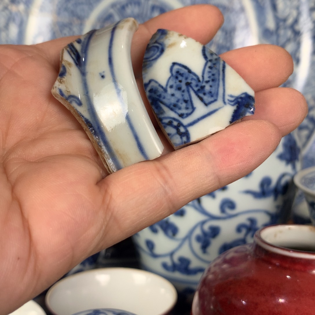 瓷片青花瓷片标本标本标本