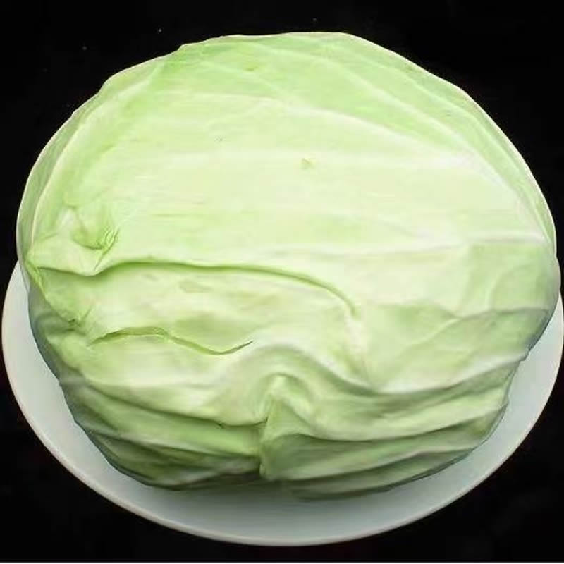 新鲜平包菜/3.5-4斤左右