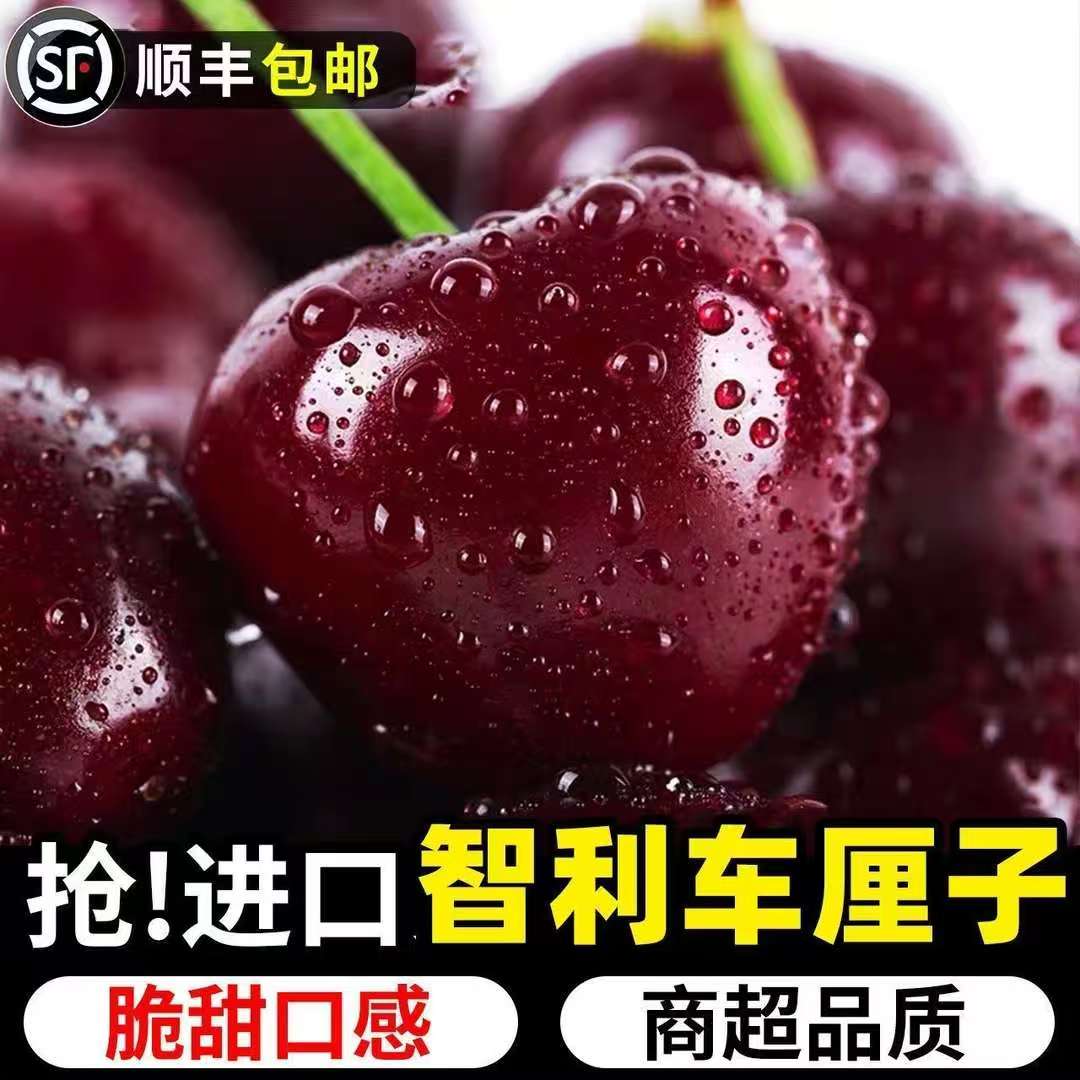 【空运头茬】JJJ桑提娜智利进口车厘子1-5斤樱桃顺丰内附果径卡