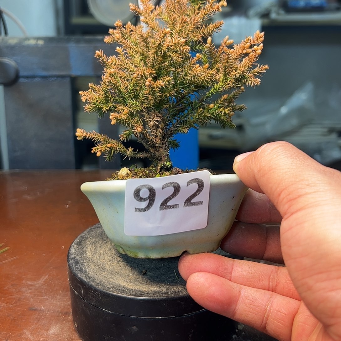 无花朵健健康康快快乐乐