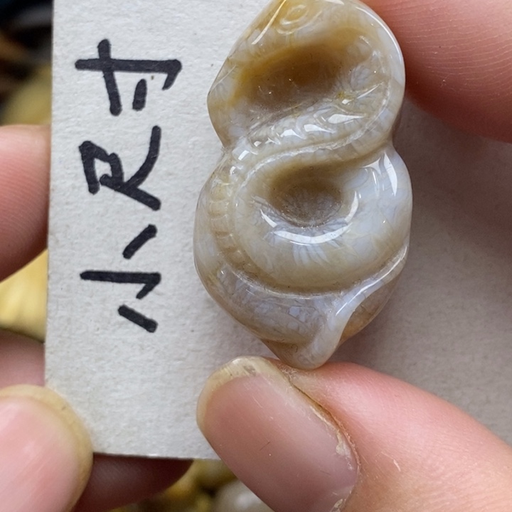 硅化珊瑚（珊瑚玉）未镶嵌颈饰