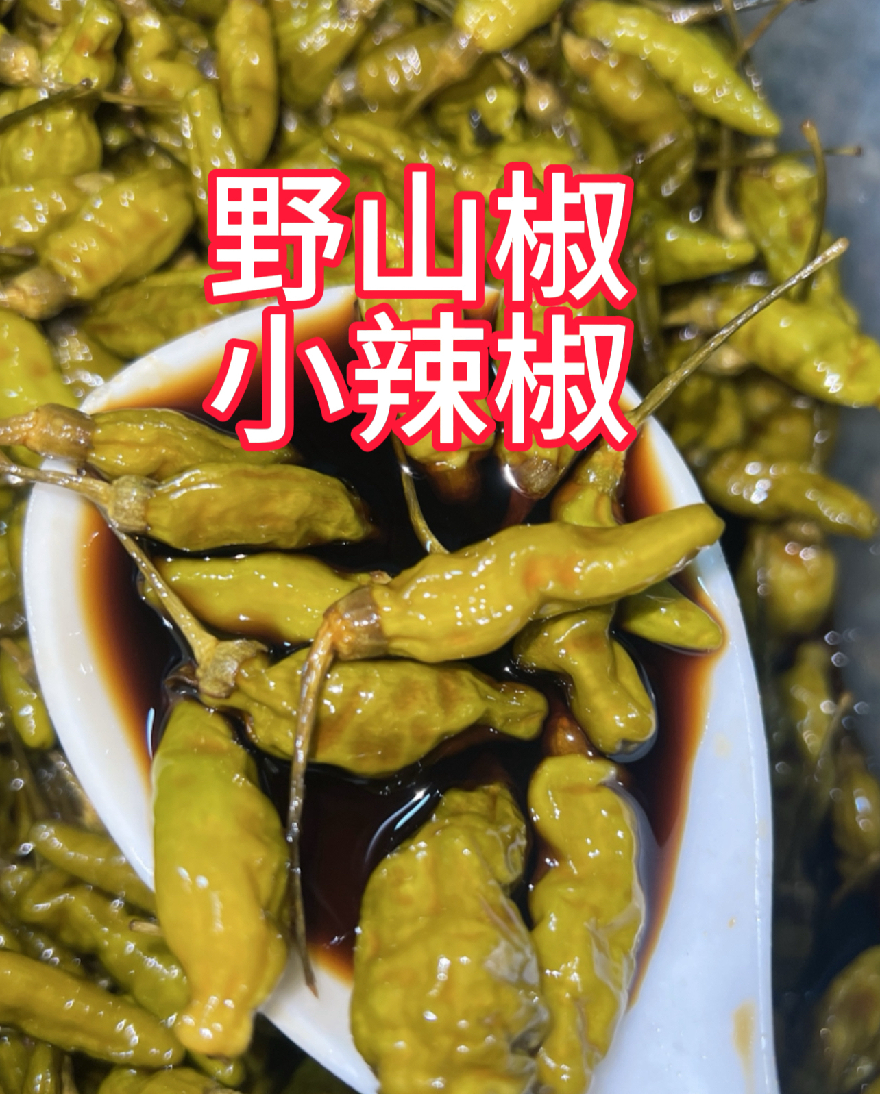 泡小辣椒，小雀椒