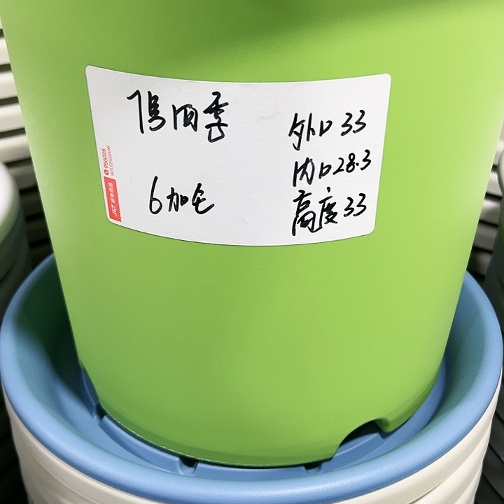 特价7号口33高33白色6只无托