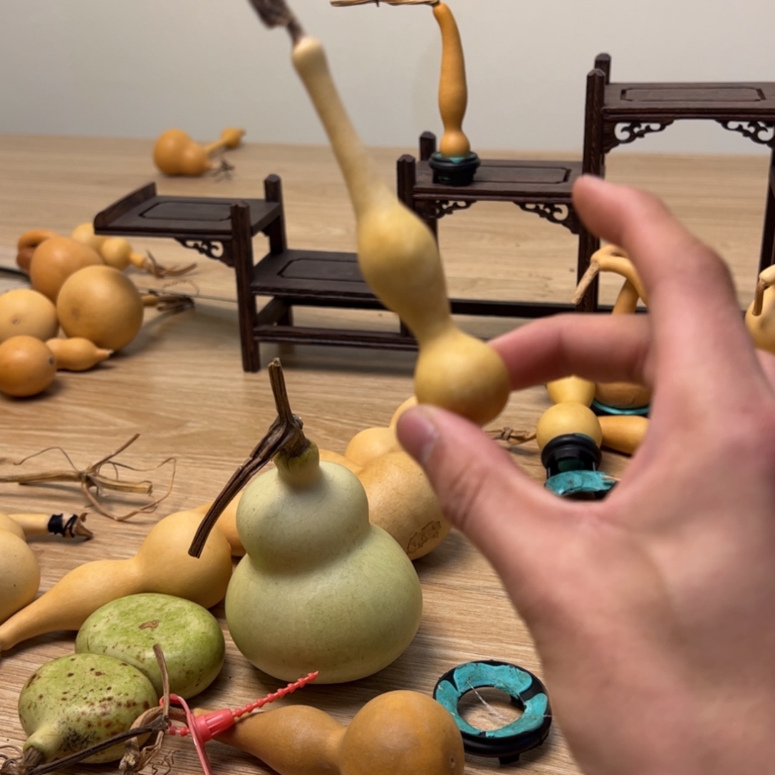 美***织哈哈哈哈哈哈哈哈哈哈