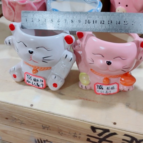 红陶111111111111111111