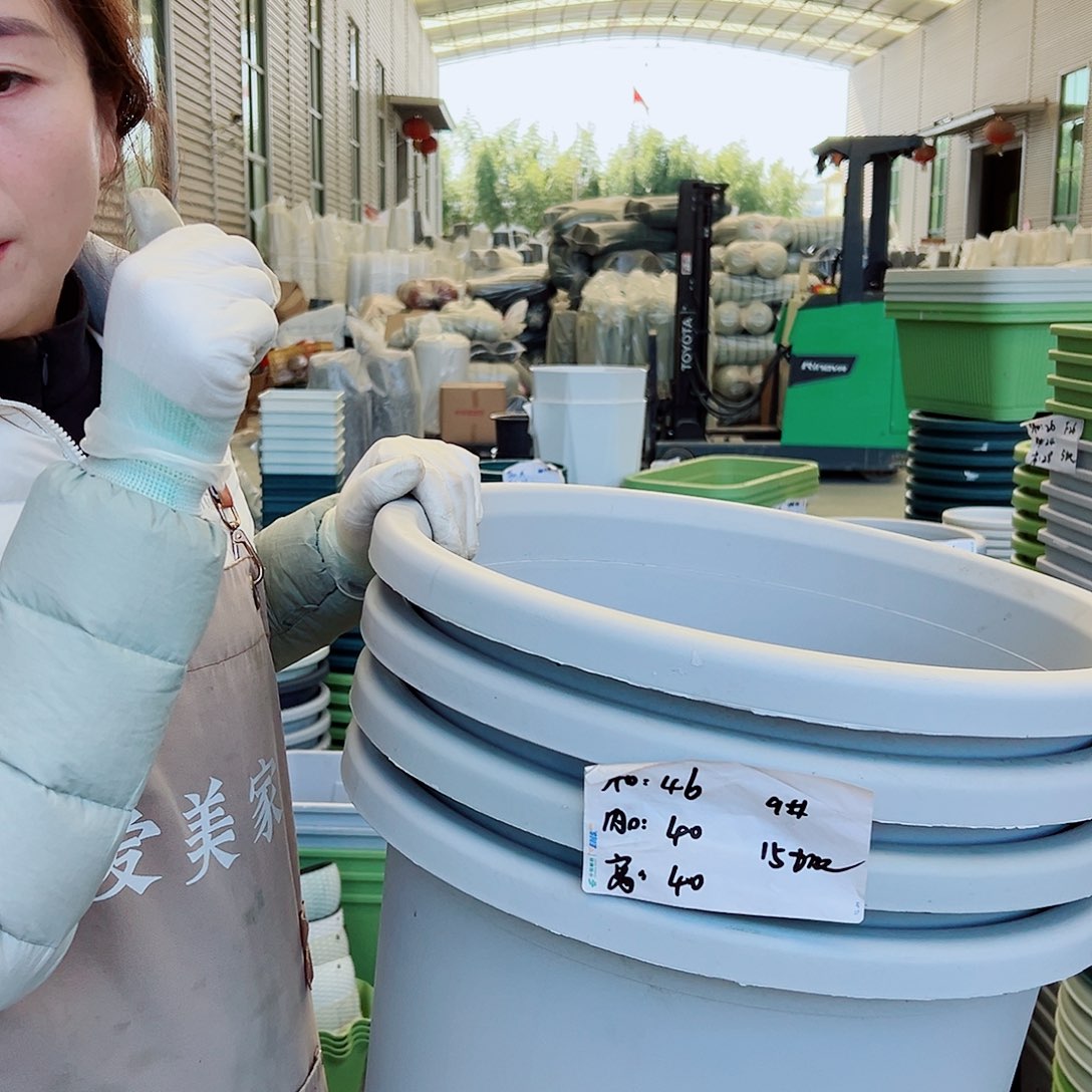 四季盆9#灰白4个无托