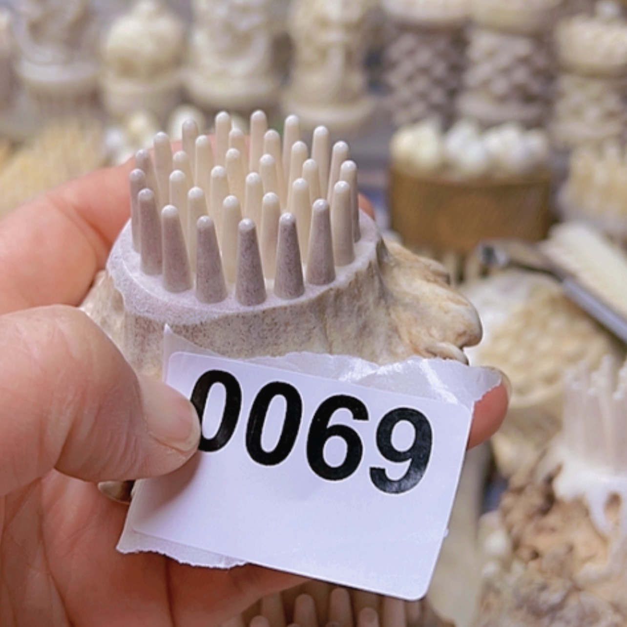 【闪购商品】砖雕哇****哼鹿角特价处理