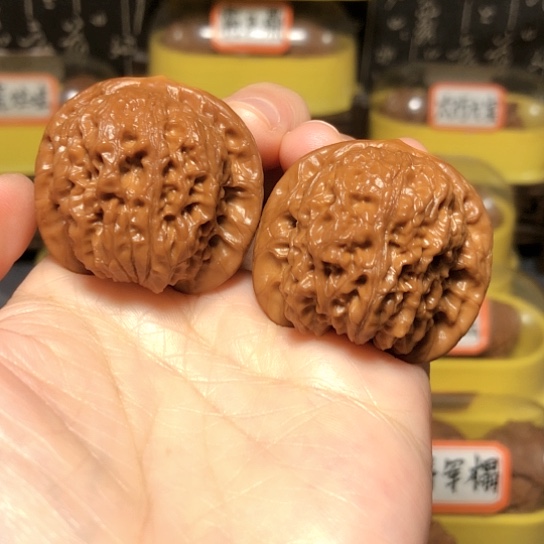 特价：平谷血麒麟39尺（不退不换）