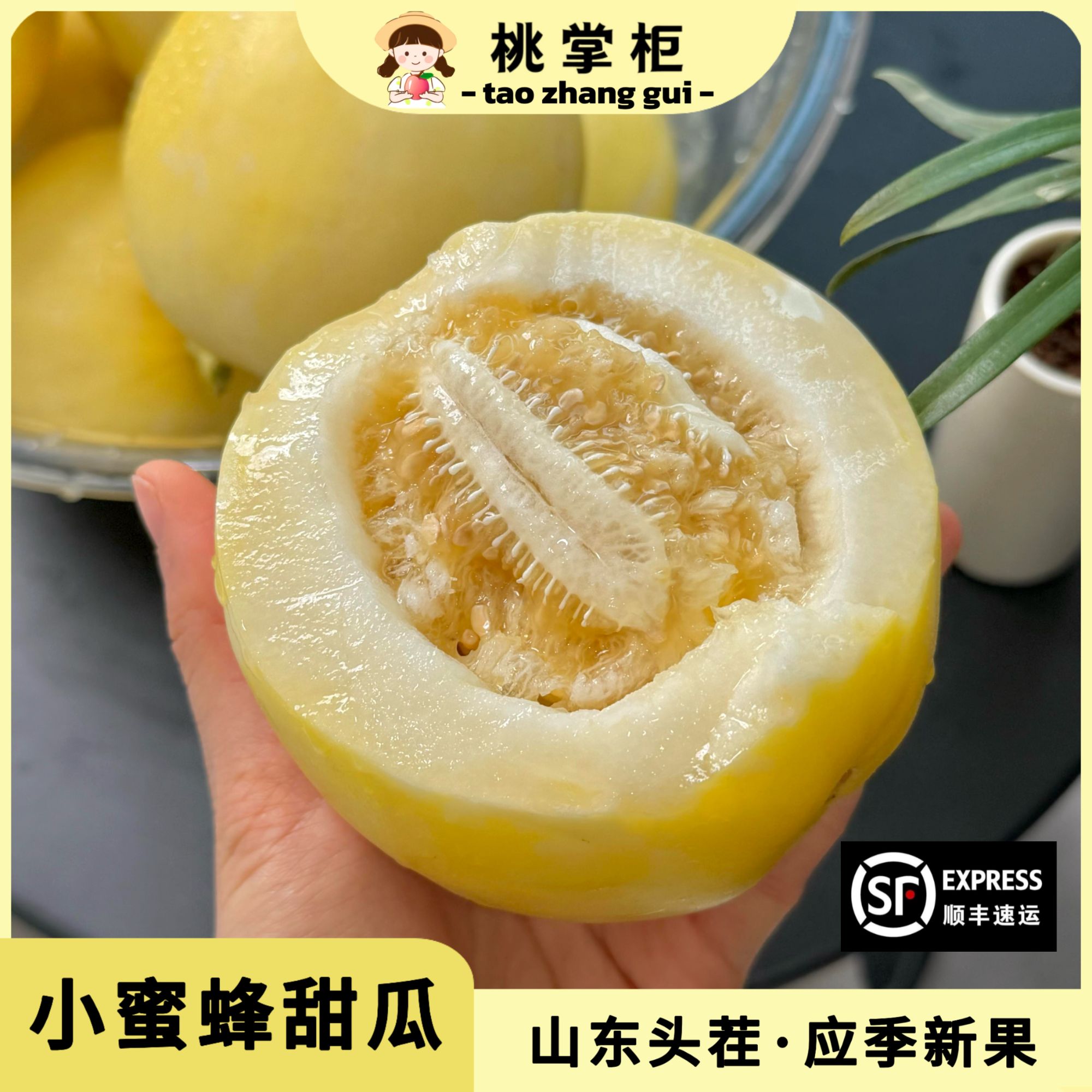 山东头茬小蜜蜂新鲜甜瓜小蜜蜂甜瓜香瓜•蜜罐甜瓜•香甜味浓•顺丰