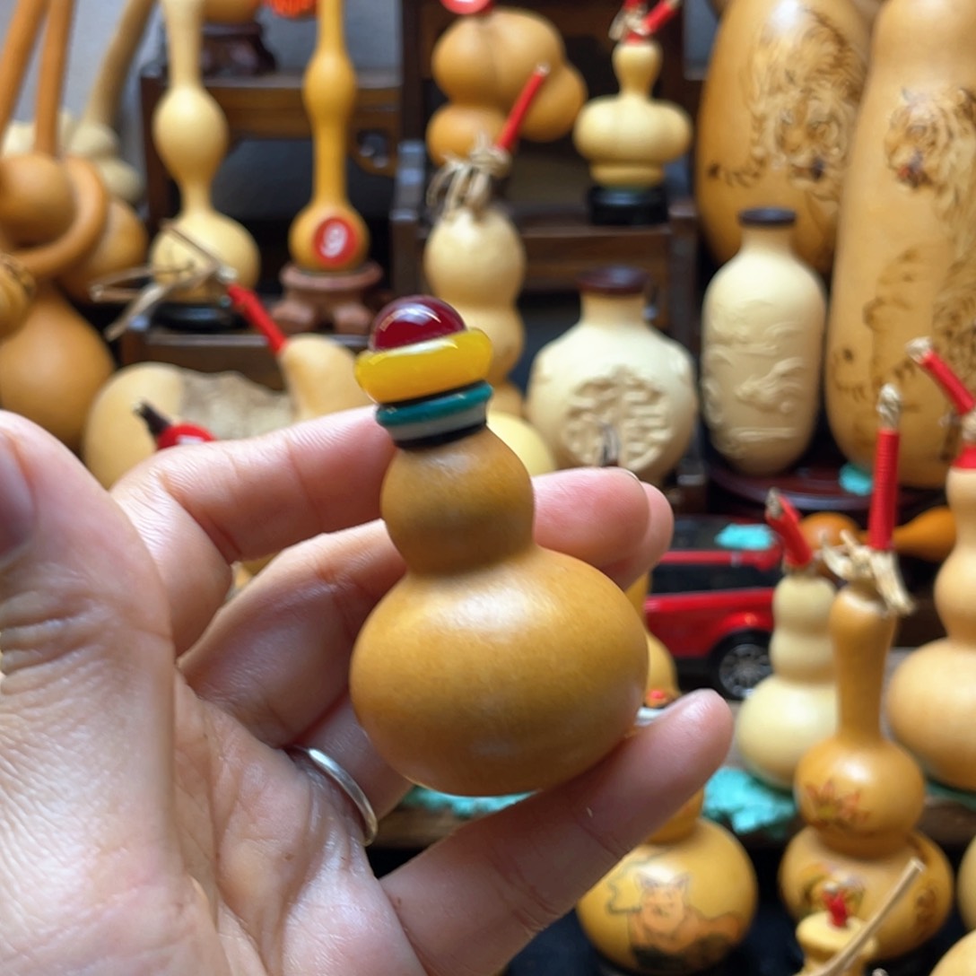 小*哥大自然的秘密第十一节你是