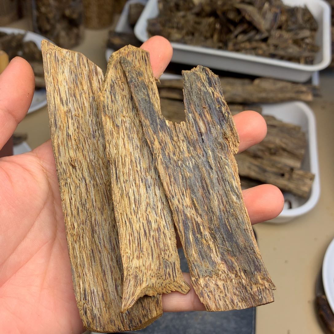 沉香沉香碎屑奇楠沉香熏香乌身圆叶树皮14克