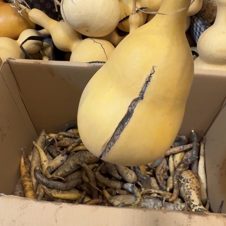 黄***犬啦啦健健康康健健康康健健康康