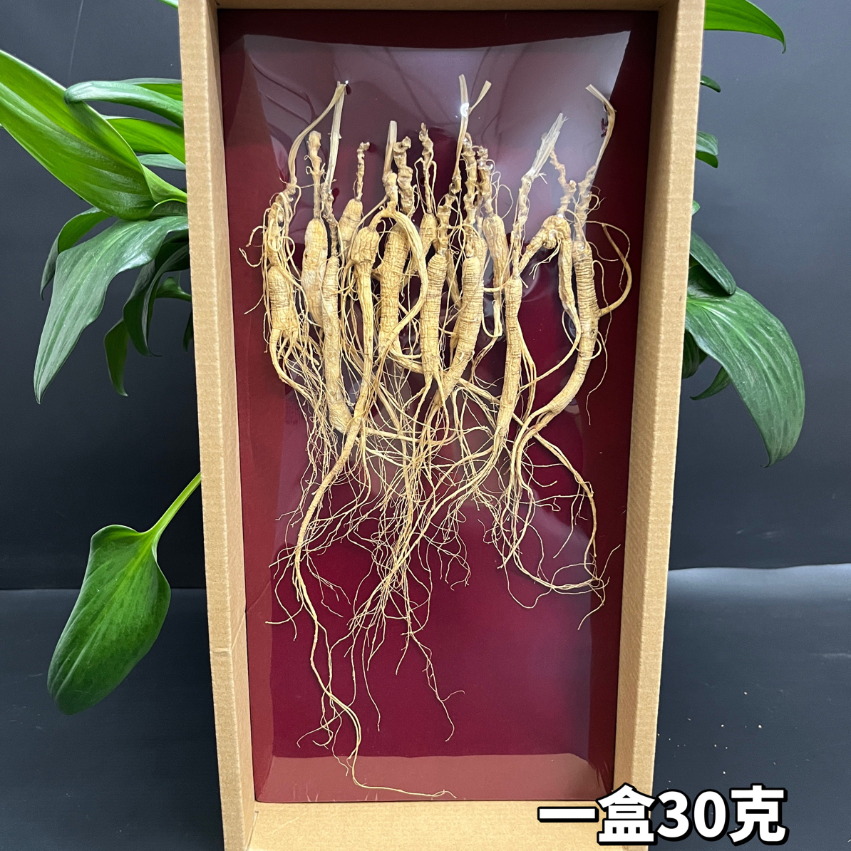 林下小个头干参，籽货，一盒30克，