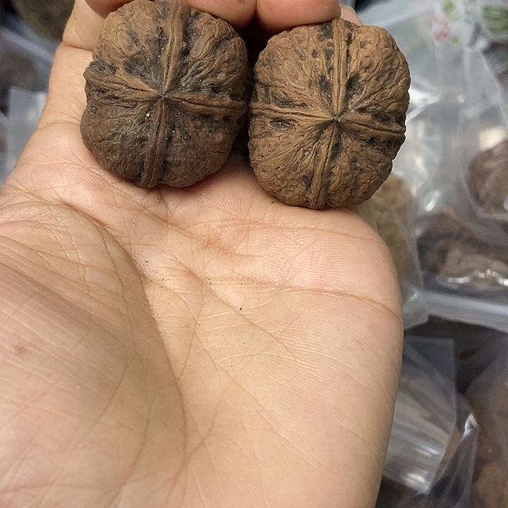 文玩核桃把件云南铁核桃基地89