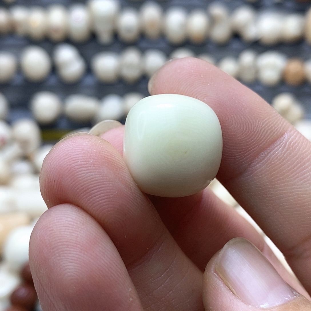 美***丶菩提根/象牙果吊坠