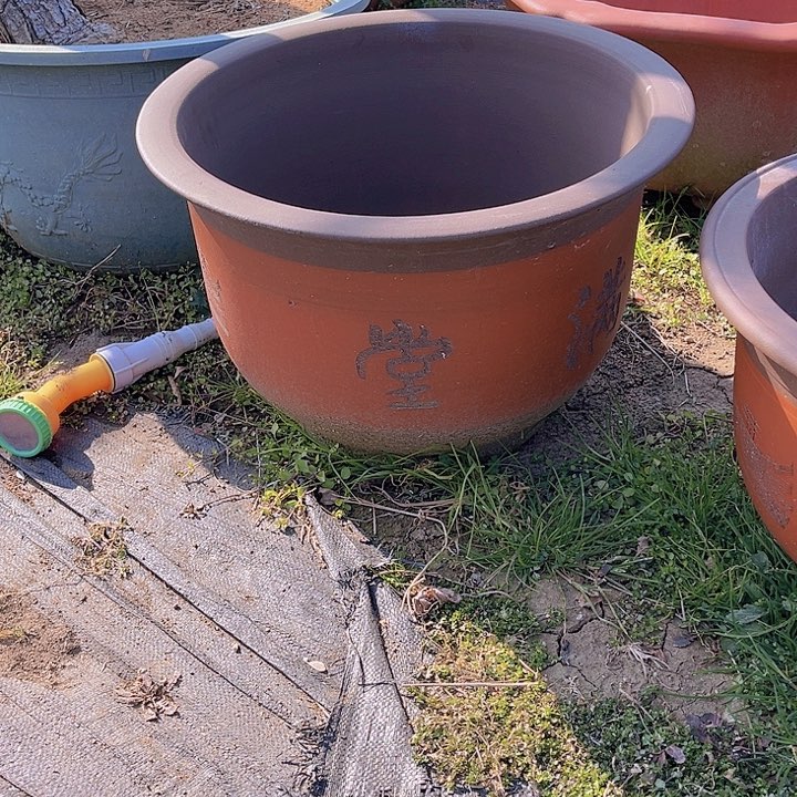 刘*宜兴紫砂圆盆小号