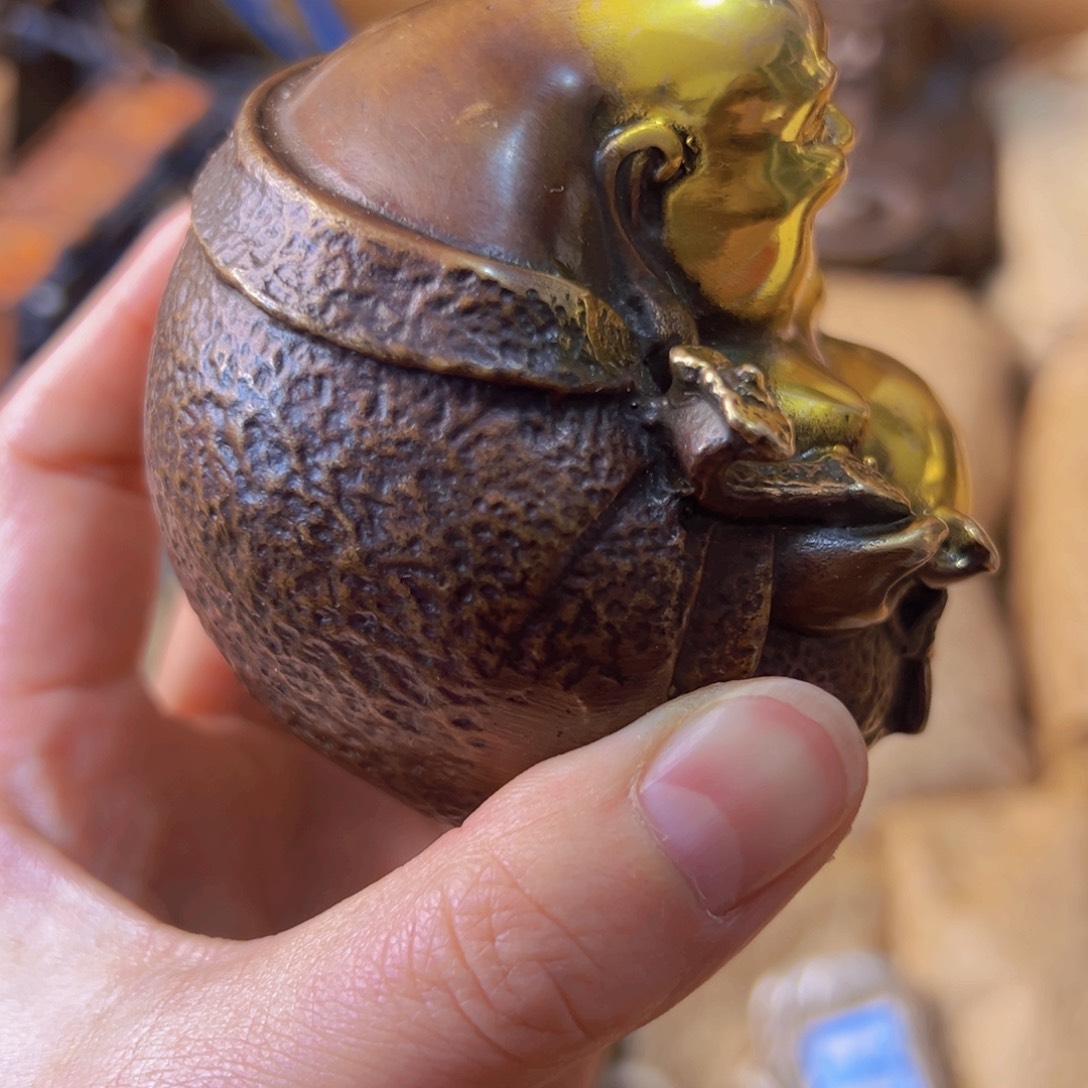 新年第一场全部场