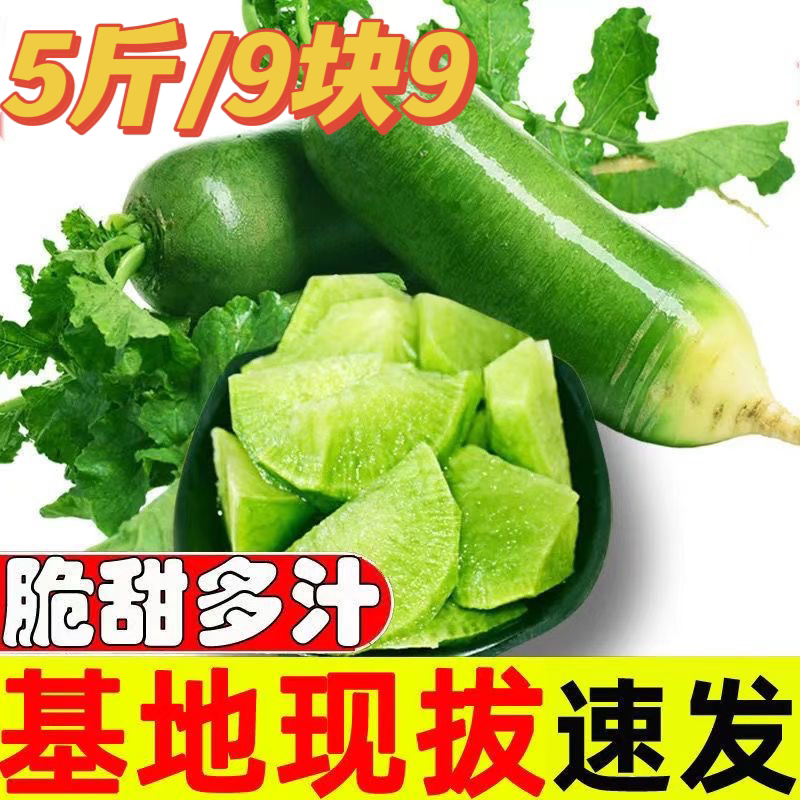 今天拍明天到正宗山东农家水果萝卜鲜嫩多汁