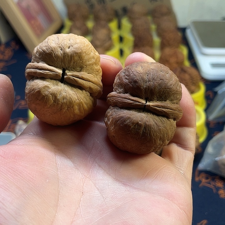 文玩核桃把件26炸二粗钱罐44