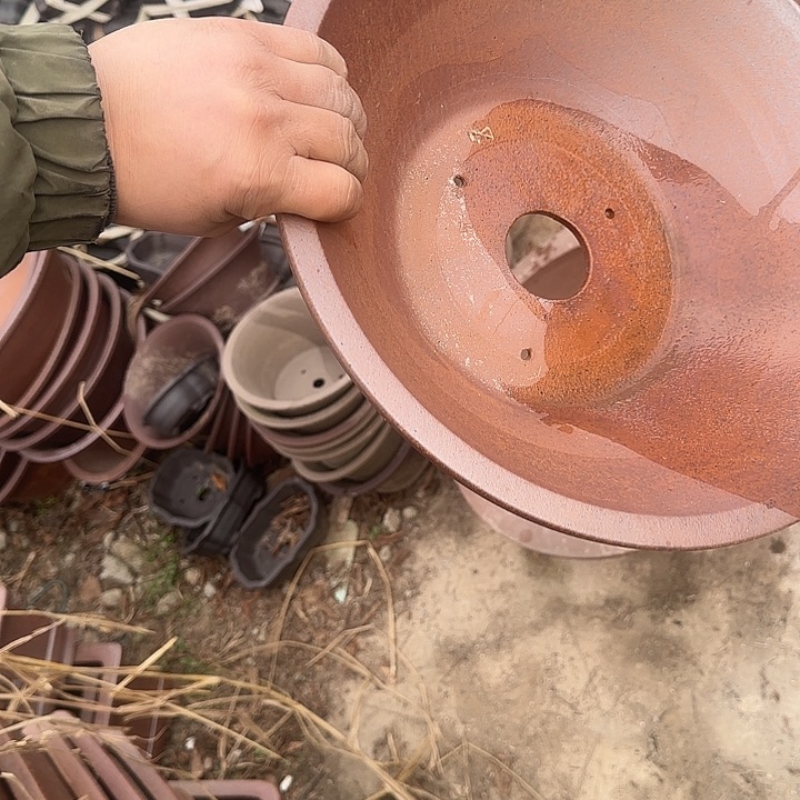 你就在家里吃好吧别想的我在