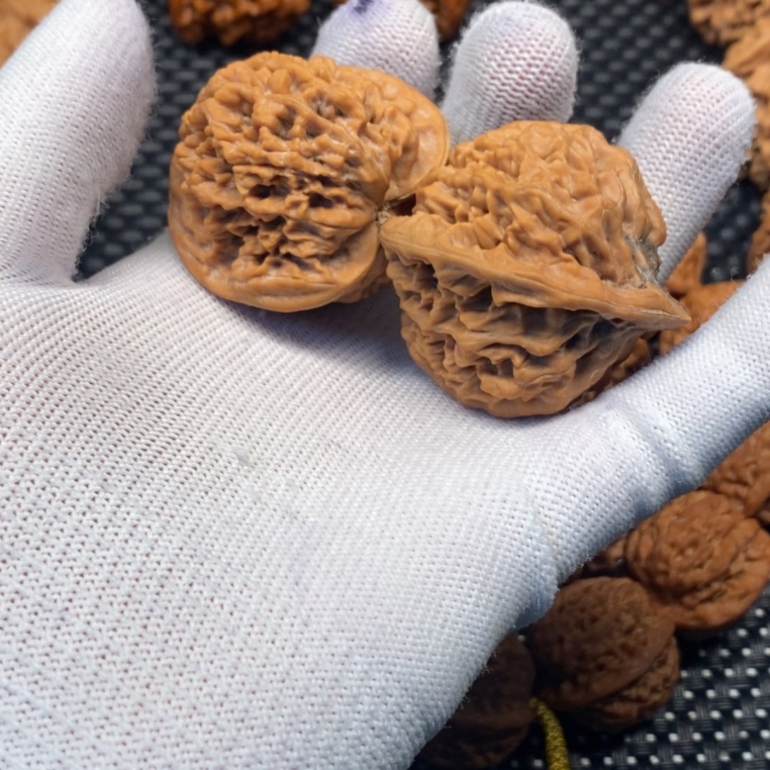 A***生秦岭山脉和秦岭平原之间为