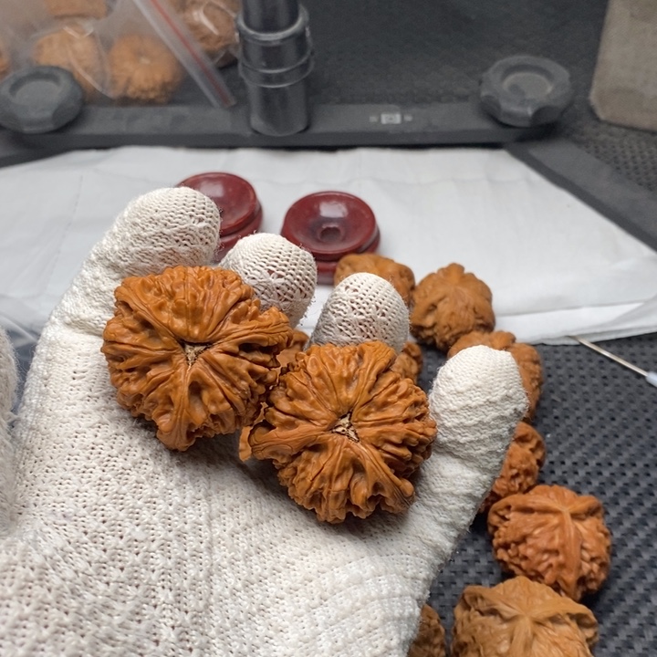 核桃把件海*梦拼接水龙纹6