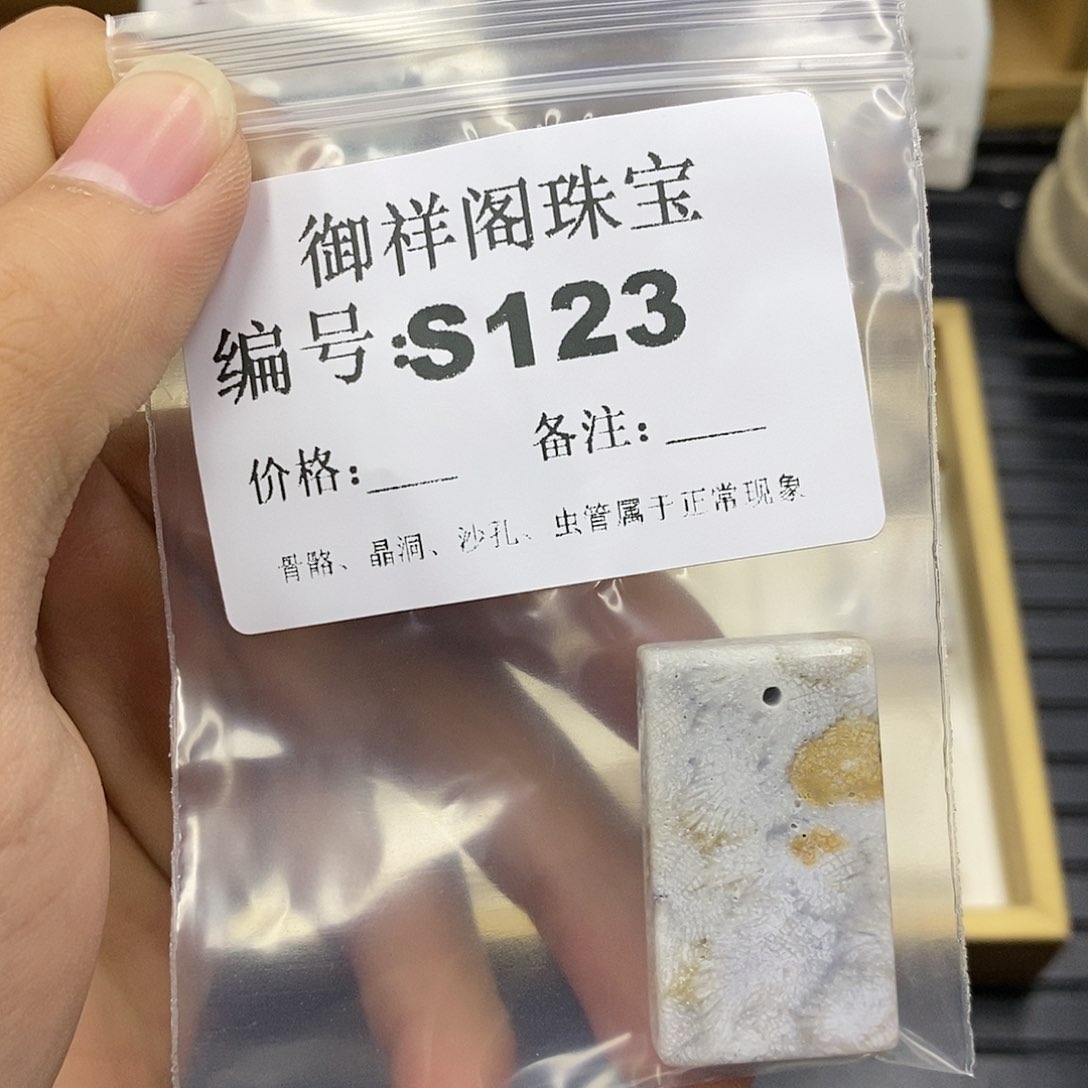 硅化珊瑚（珊瑚玉）未镶嵌颈饰焯*