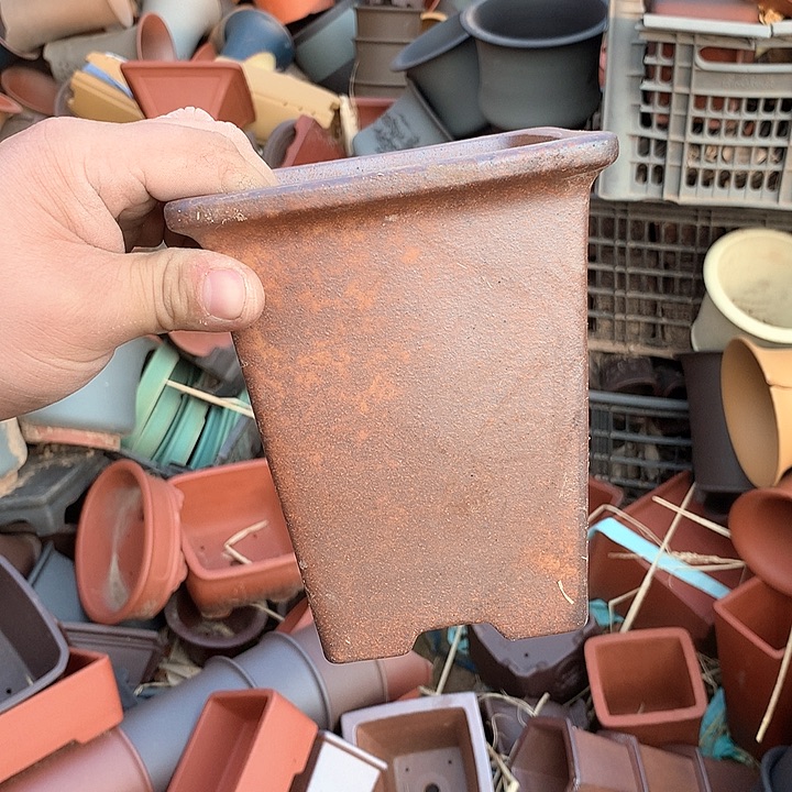 紫砂没有那么重要的人在我们心中