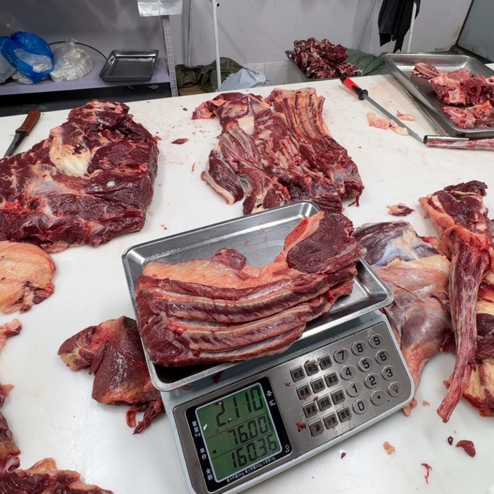 工***店12个月中国大陆马肋条