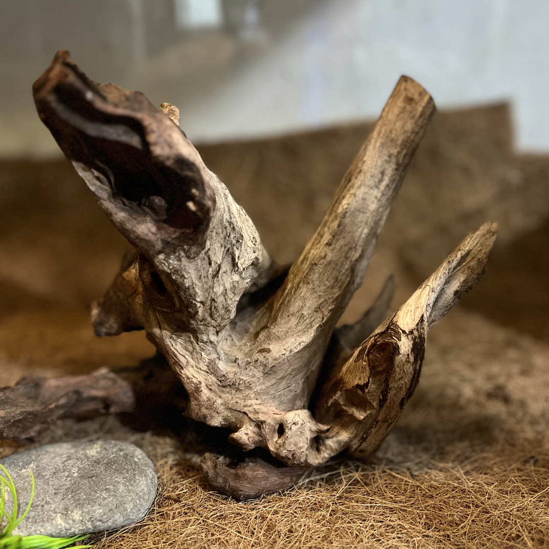 小缸40缸沉木造景鱼缸蟹缸龟缸摆件装饰拱桥树桩  尺寸:23.11.20