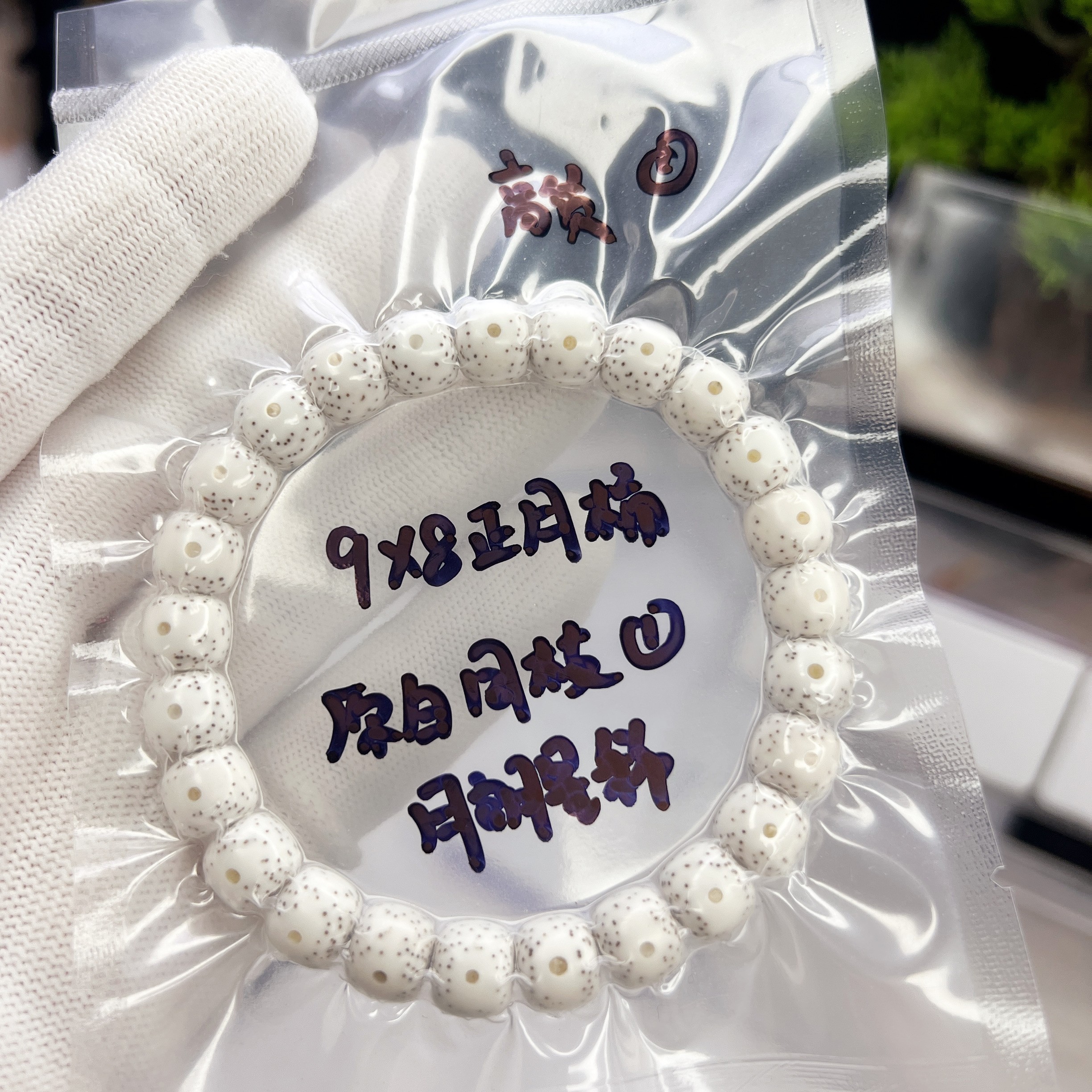 星月菩提 原生态9*8原白桶型 正月 月朗星稀