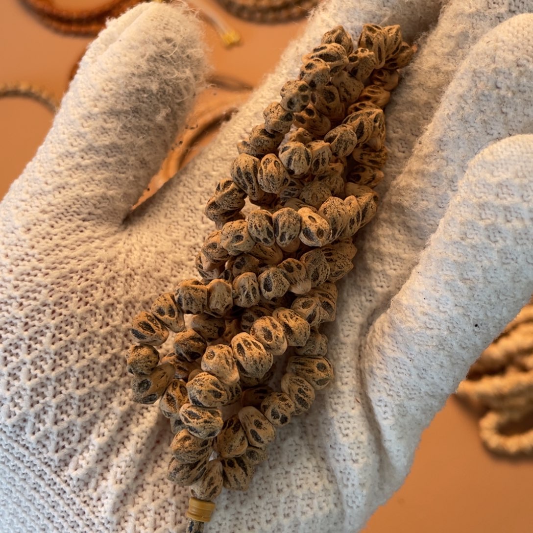 柏香籽/百香籽吊坠蜘蛛